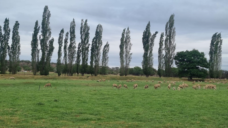 4 Bedroom Property for Sale in Queenstown Rural Eastern Cape